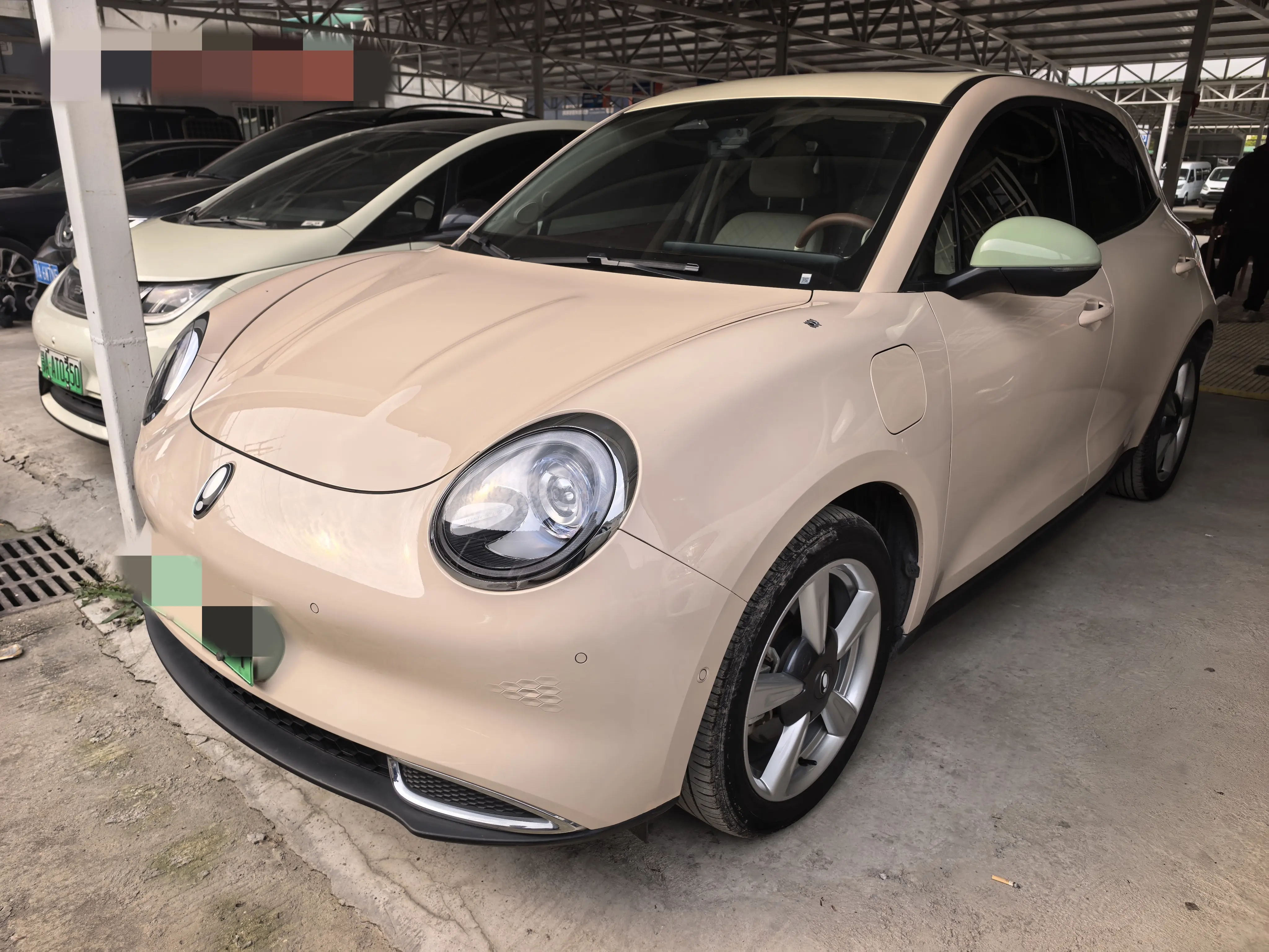 ORA Euler good cat  из Китая