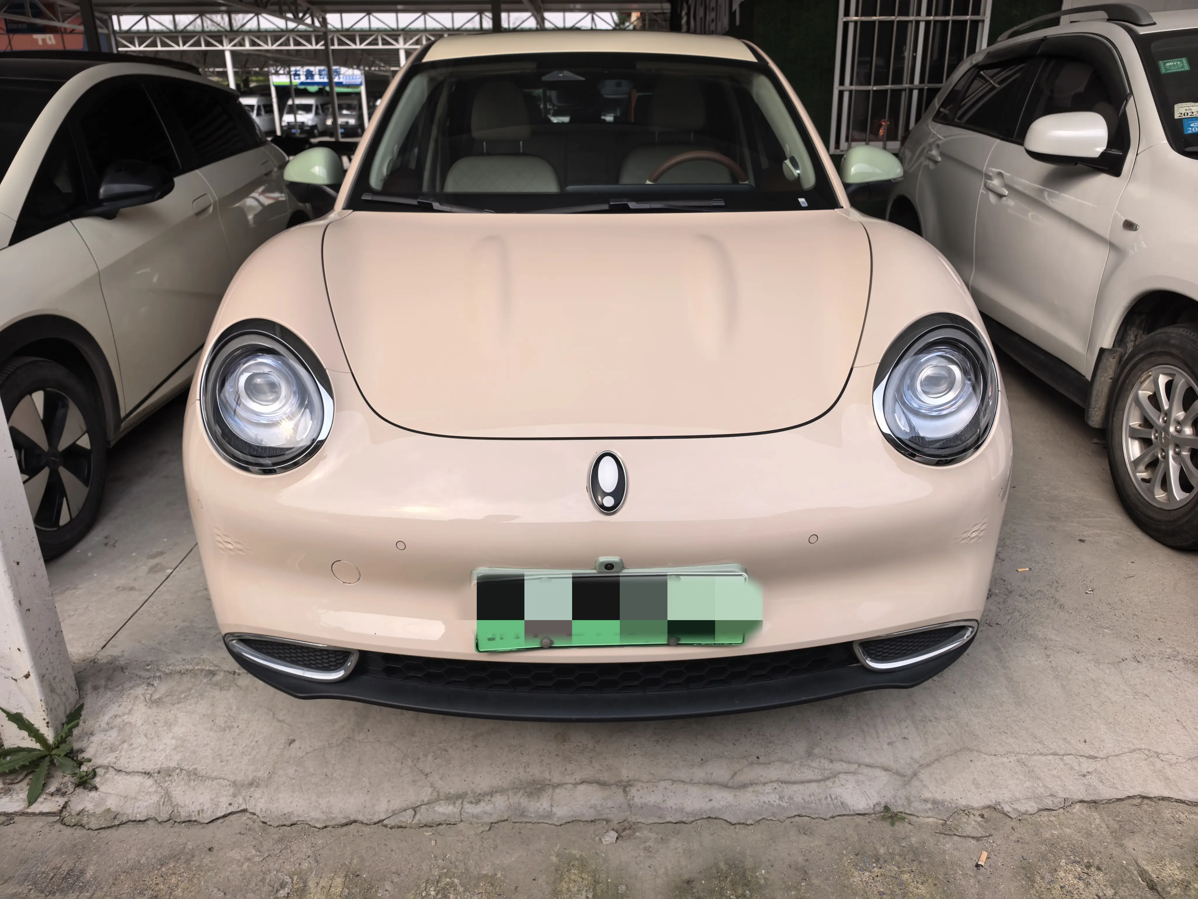 ORA Euler good cat  из Китая