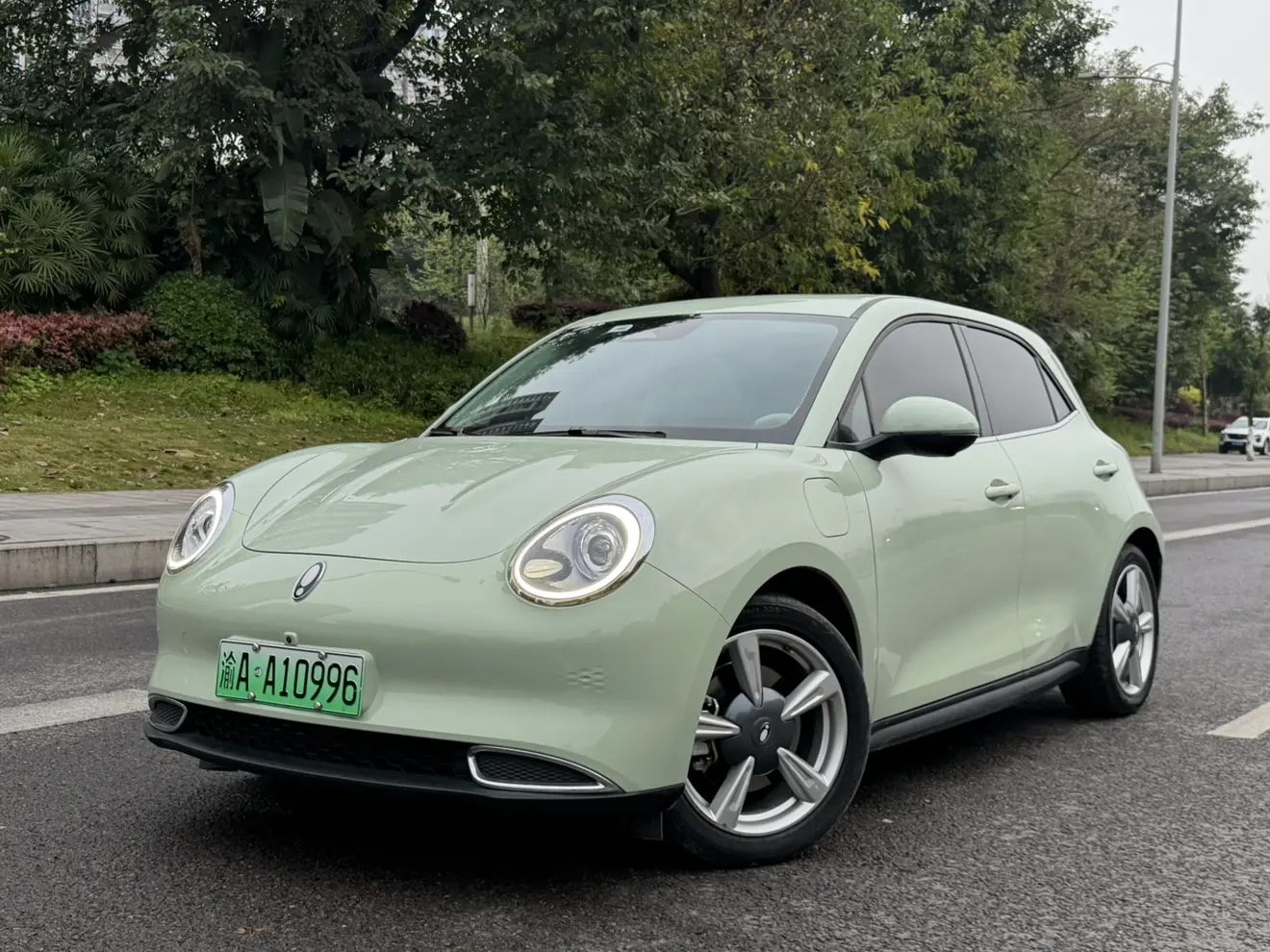 ORA Euler good cat  из Китая