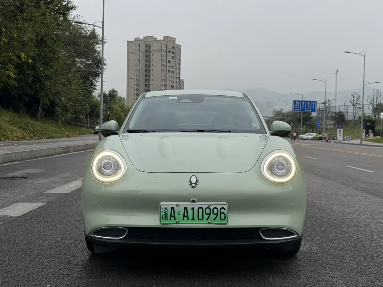 ORA Euler good cat  из Китая