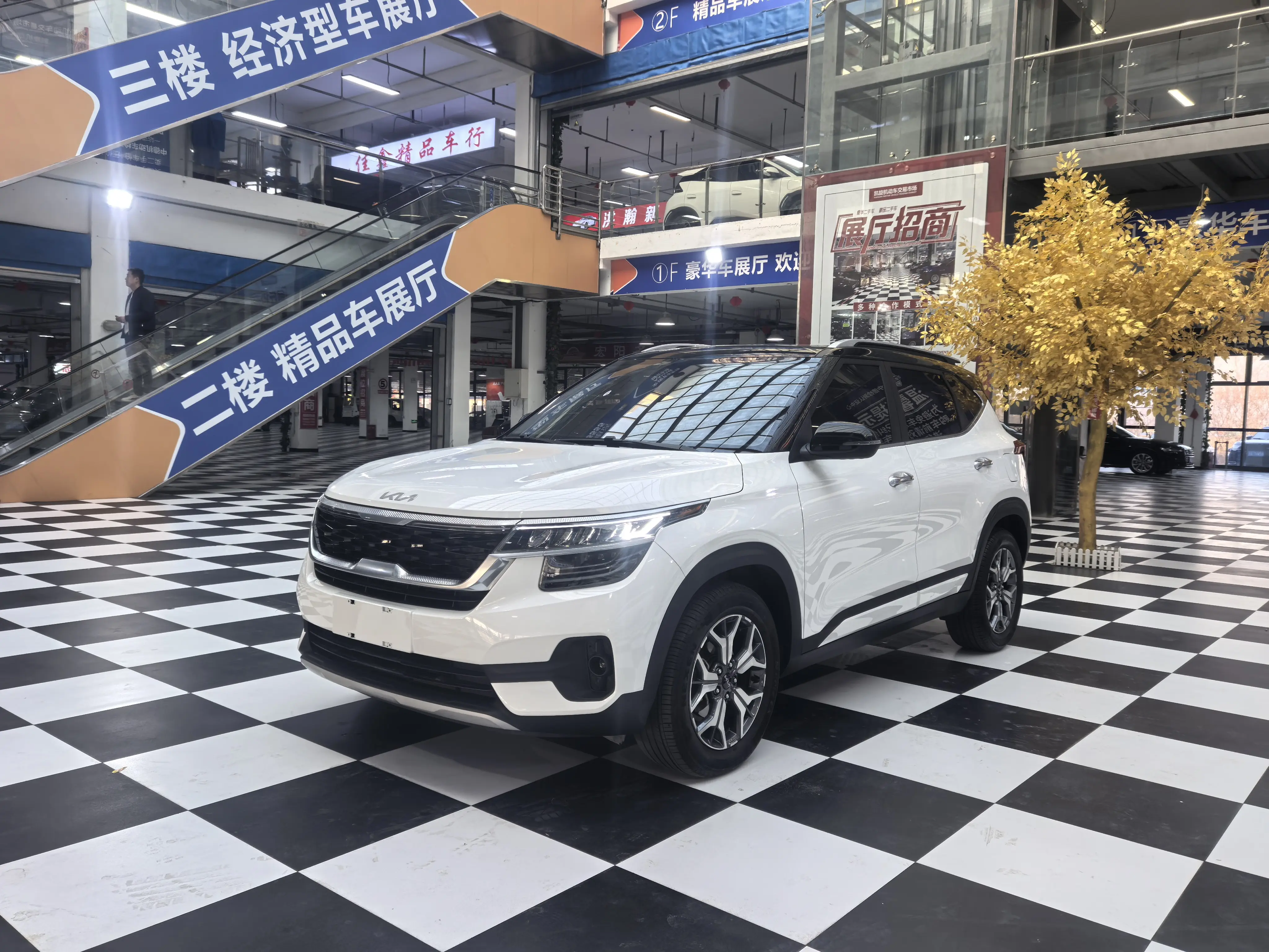 Kia Run proudly