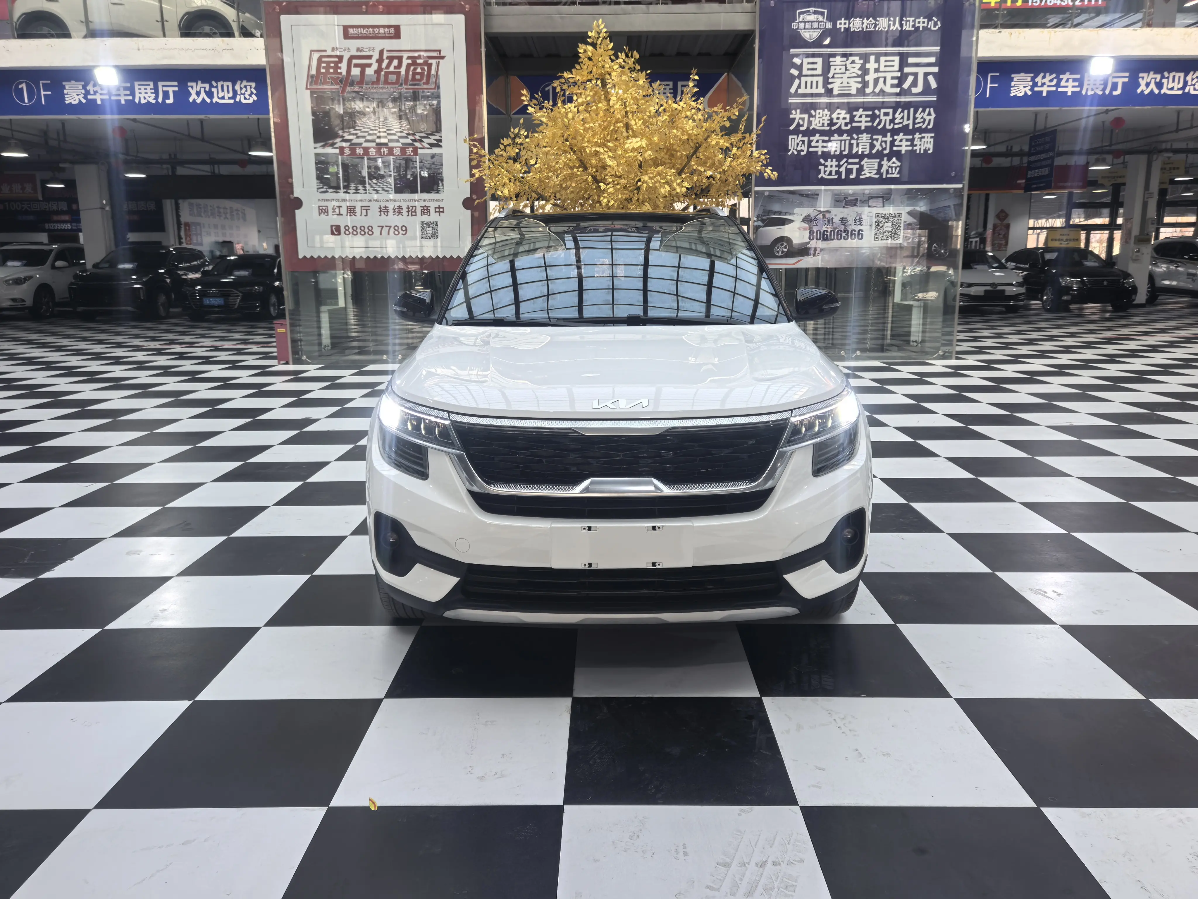 Kia Run proudly