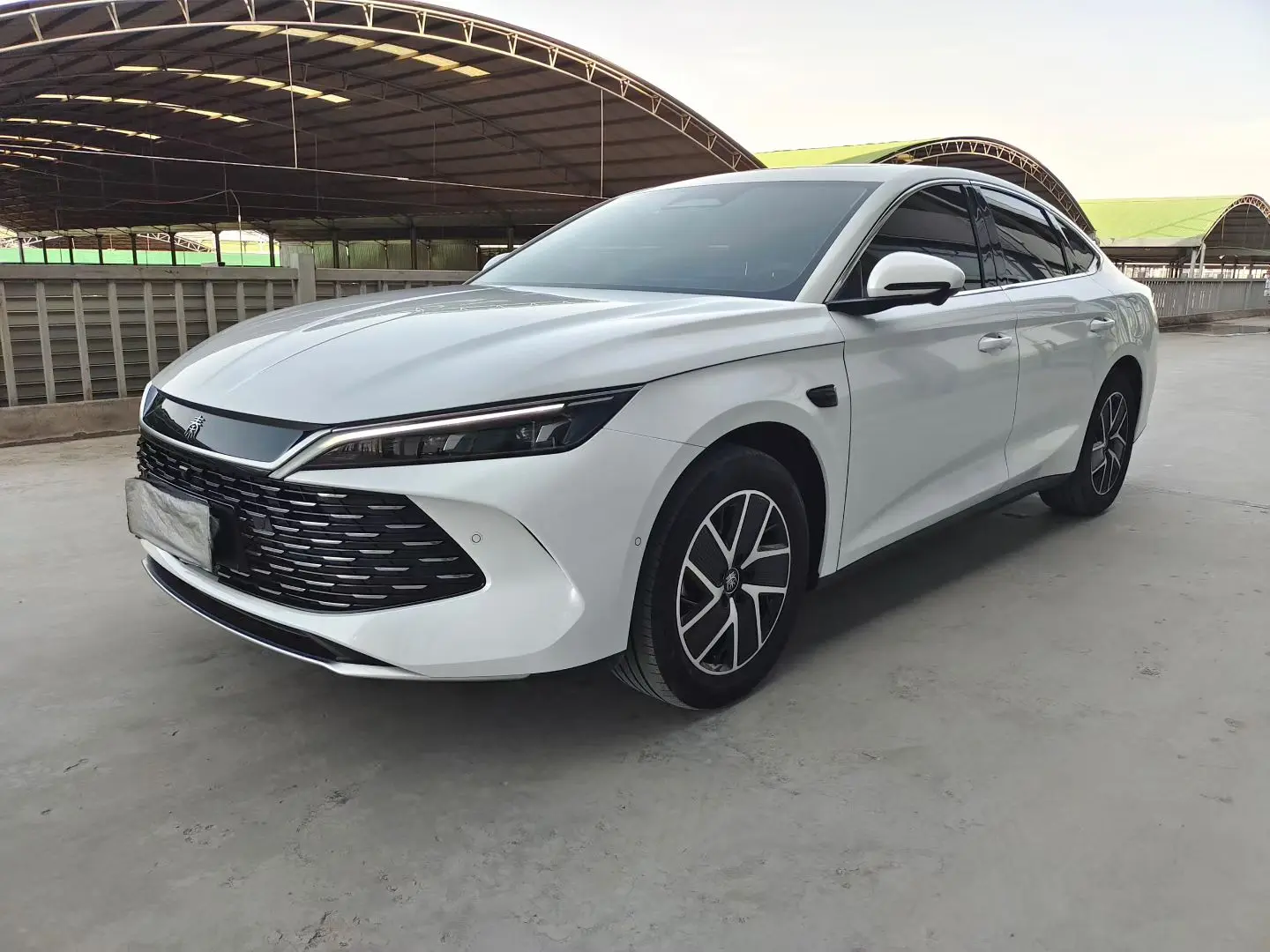 BYD Qin L DM