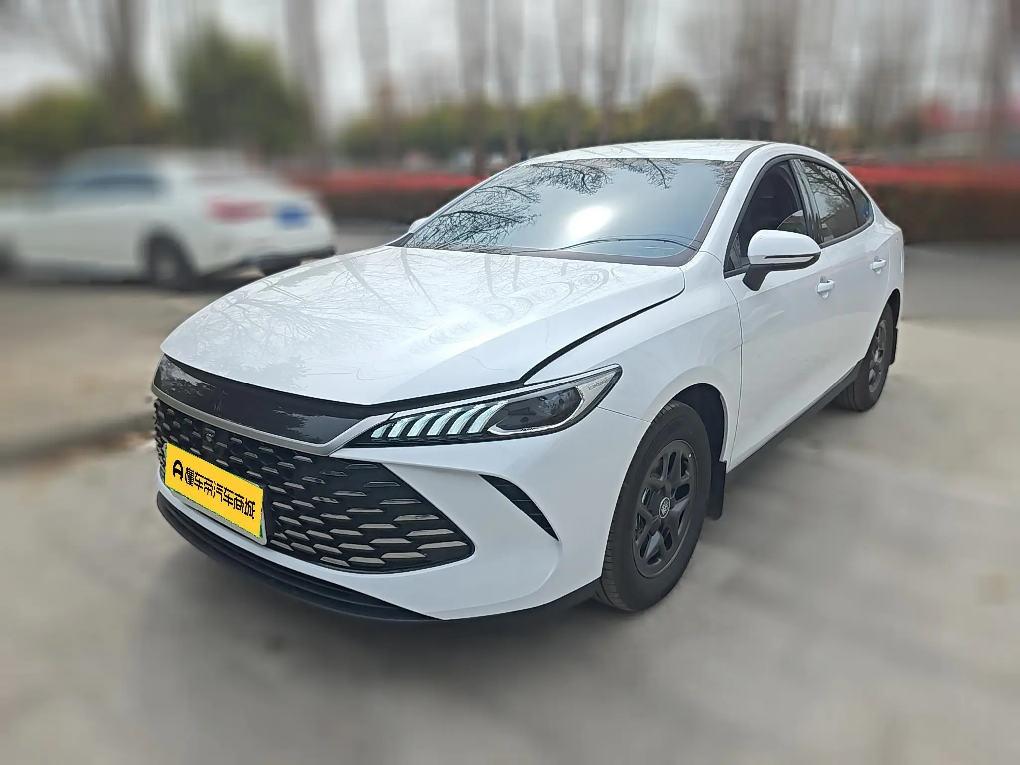 BYD Qin PLUS DM