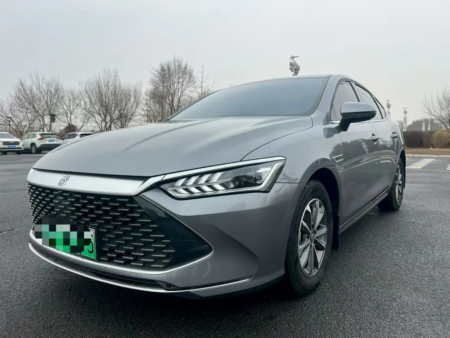 BYD Qin PLUS DM