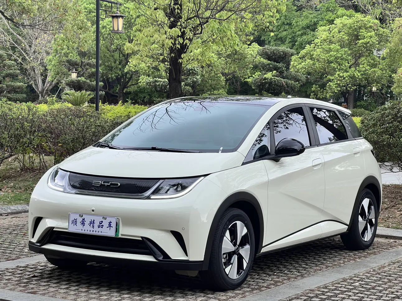 BYD Dolphin  из Китая