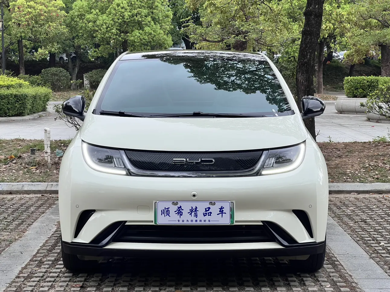 BYD Dolphin  из Китая