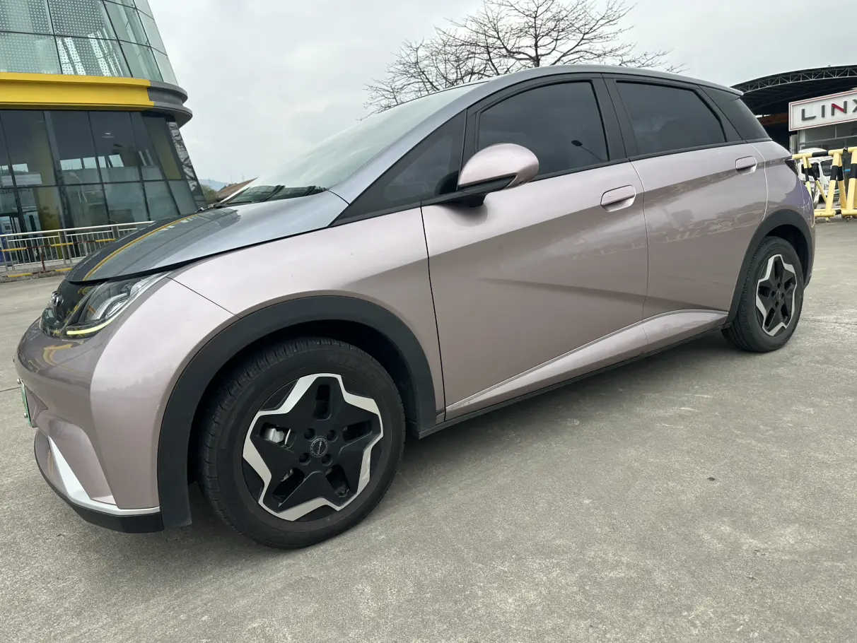 BYD Dolphin  из Китая