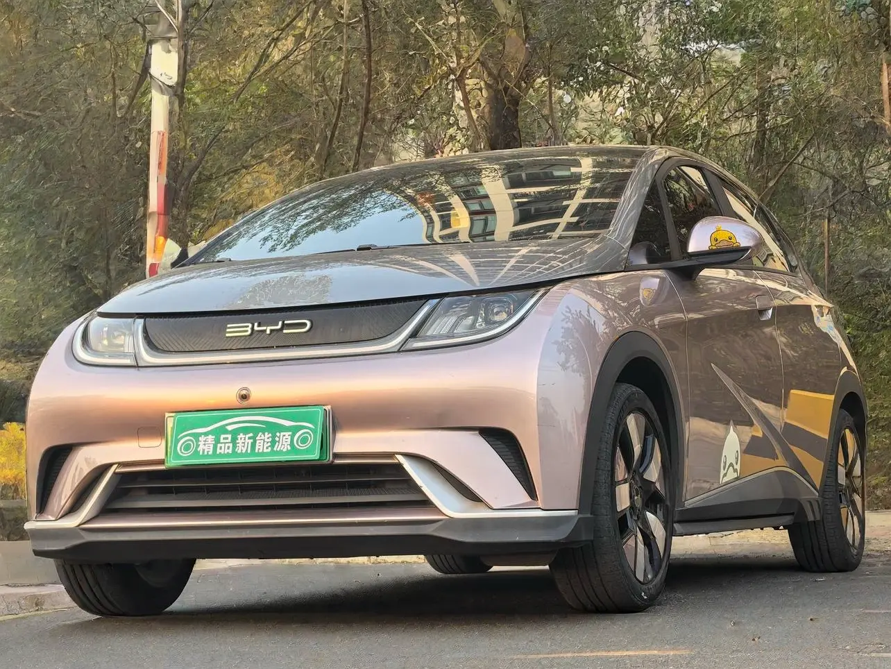 BYD Dolphin  из Китая