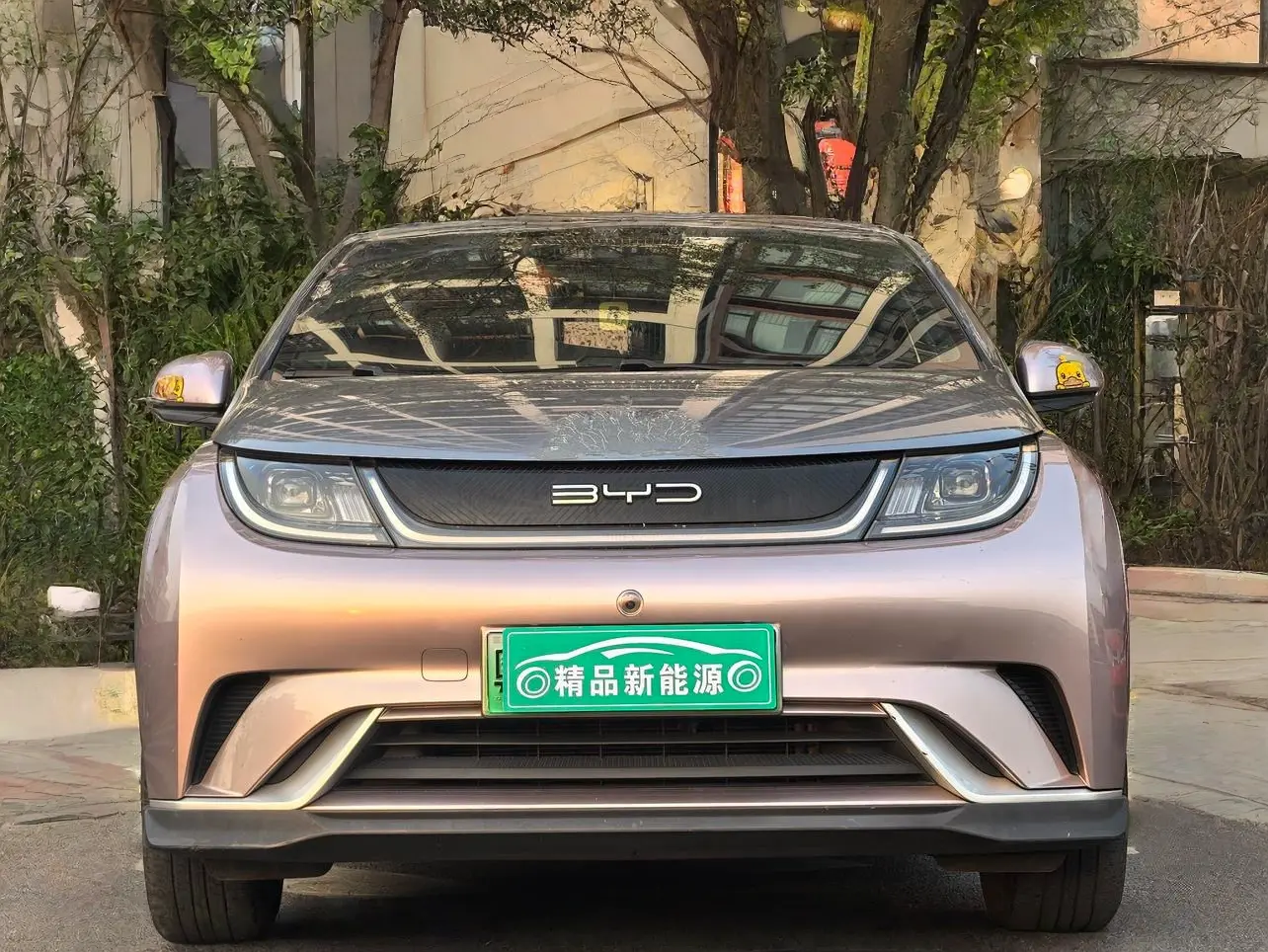 BYD Dolphin  из Китая