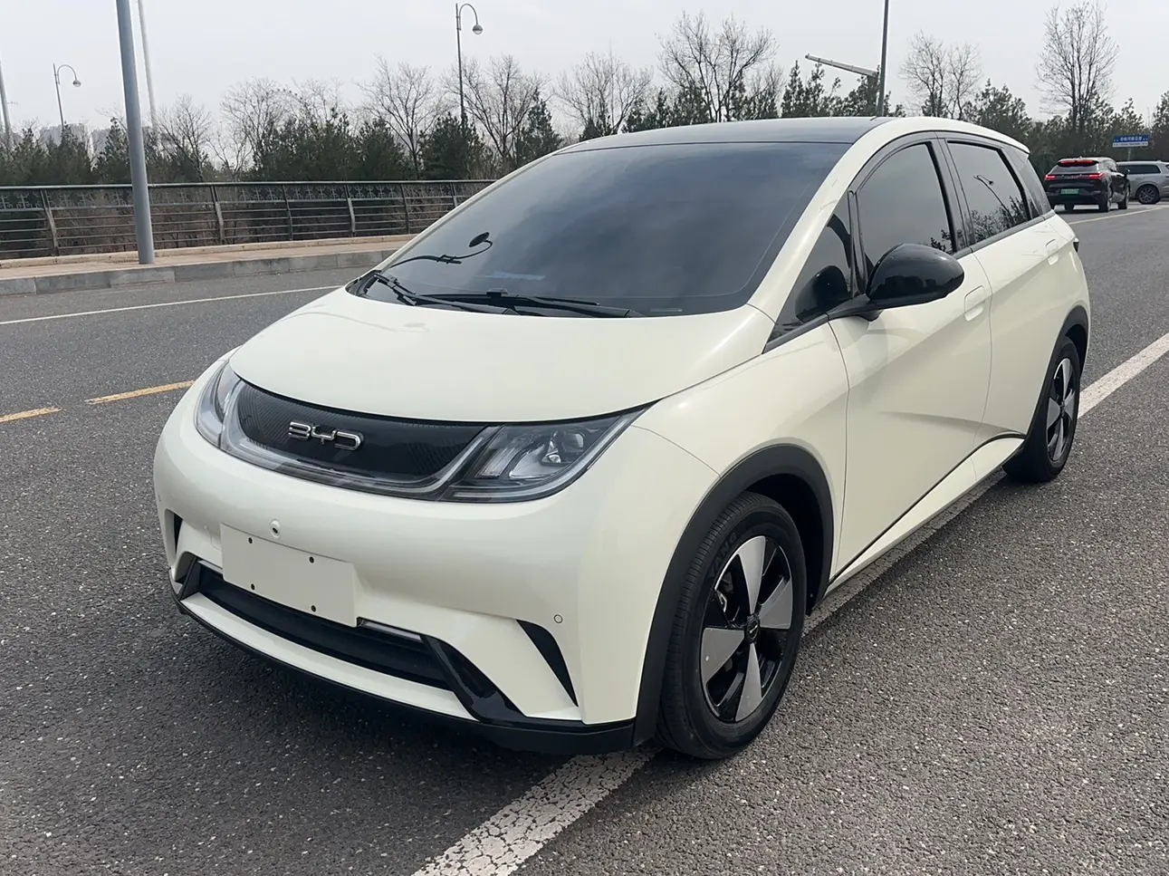 BYD Dolphin  из Китая