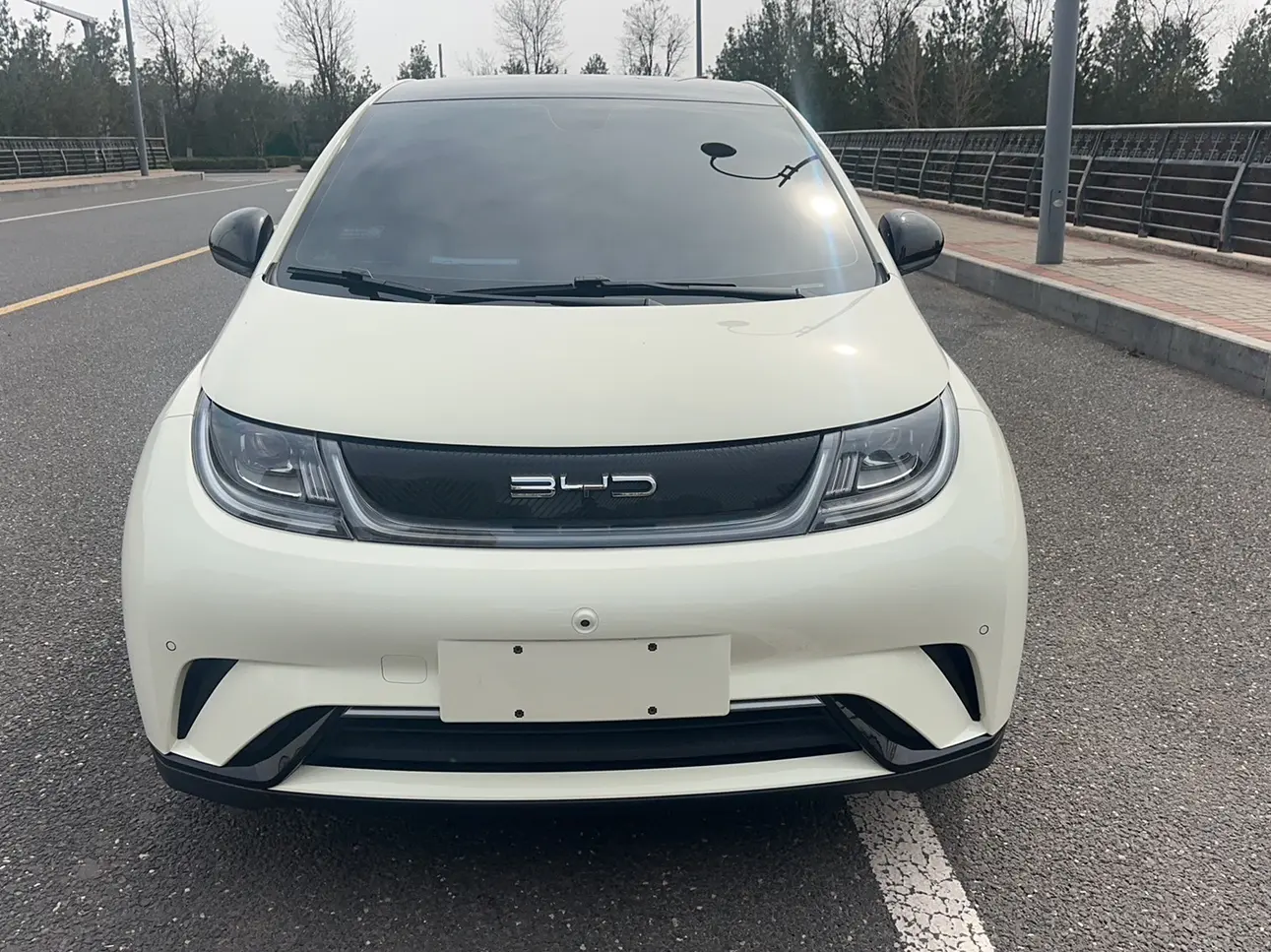 BYD Dolphin  из Китая