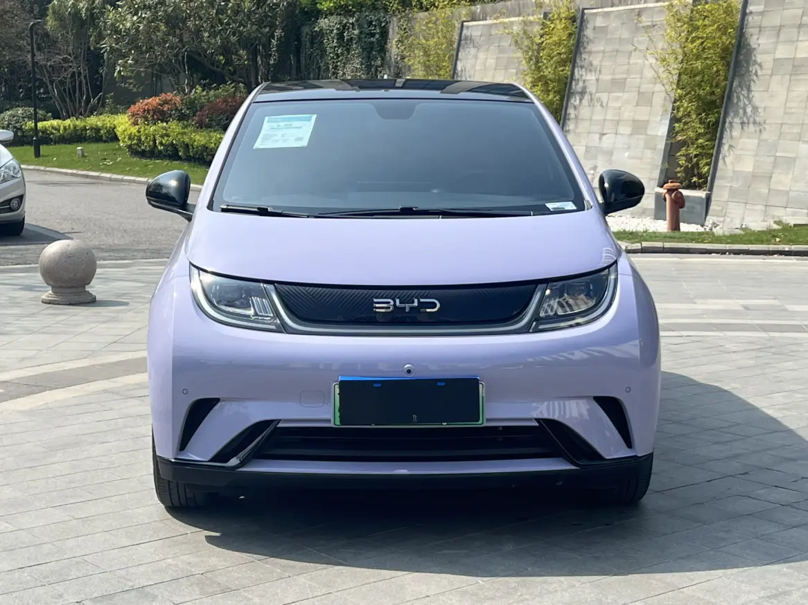 BYD Dolphin  из Китая