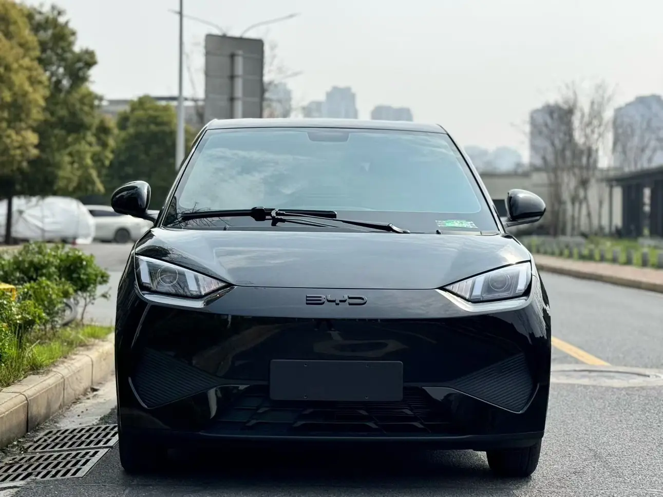 BYD Seagull  из Китая