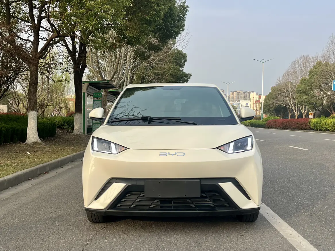 BYD Seagull  из Китая