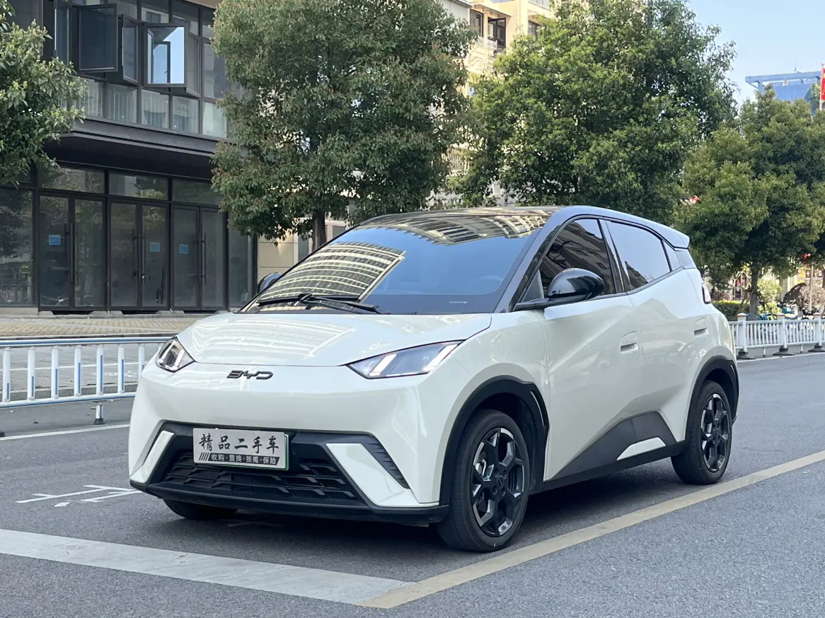 BYD Seagull  из Китая