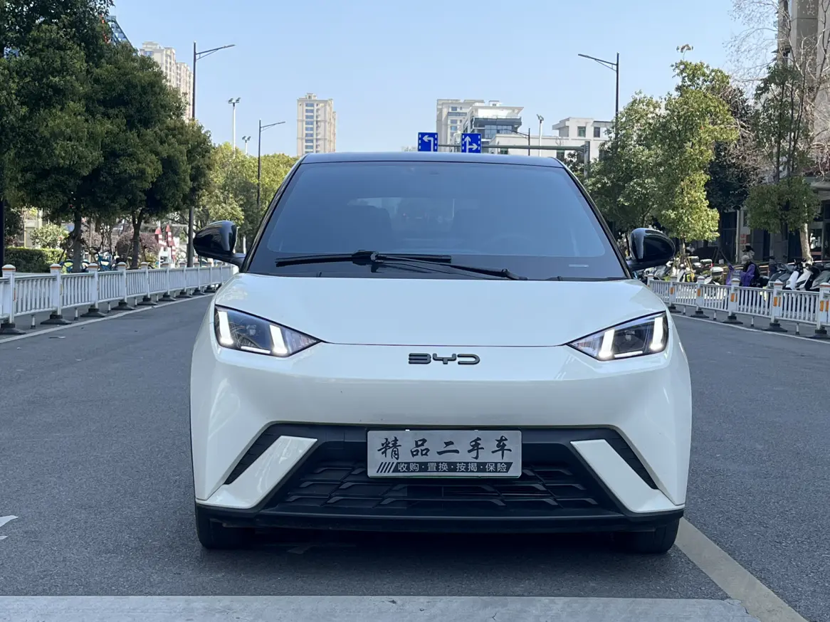 BYD Seagull  из Китая