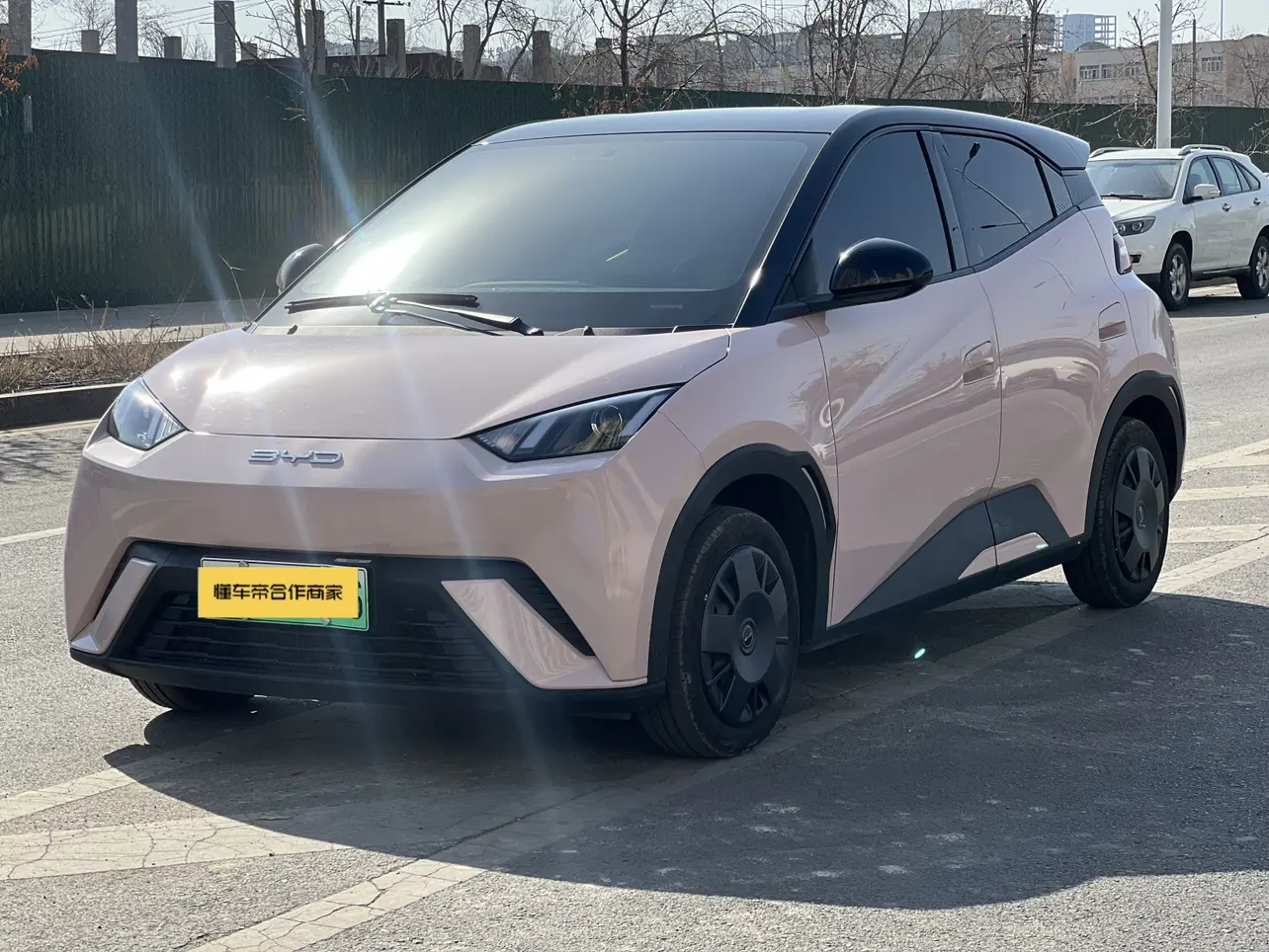 BYD Seagull  из Китая