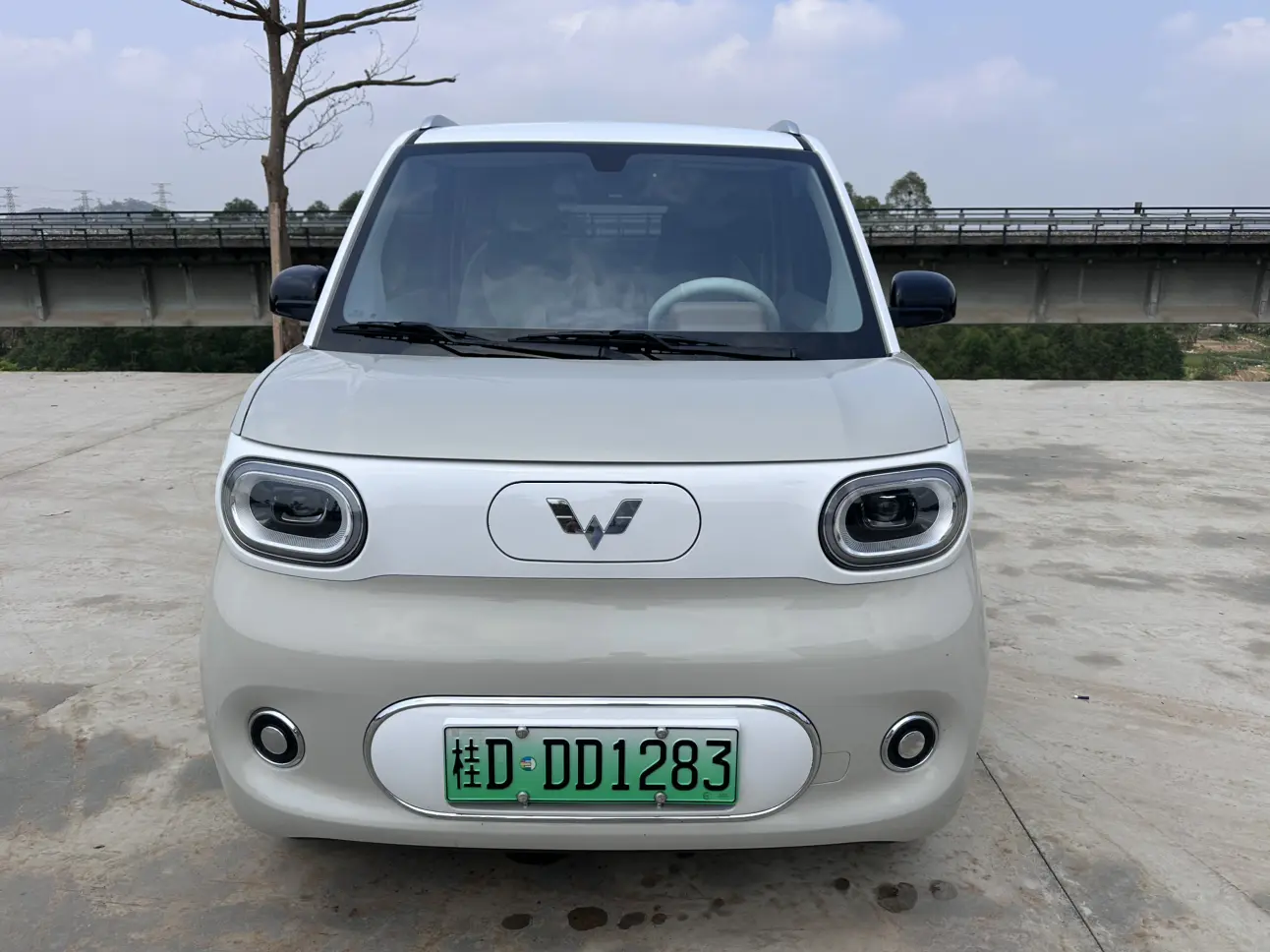 Wuling Hongguang MINIEV  из Китая