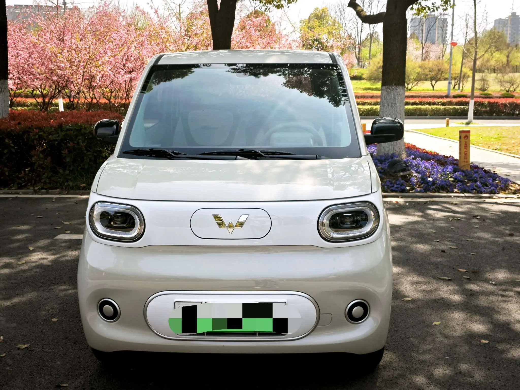 Wuling Hongguang MINIEV  из Китая