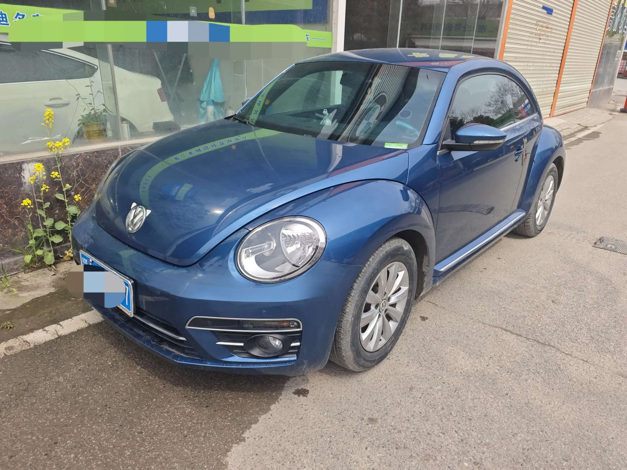 Volkswagen Beetle