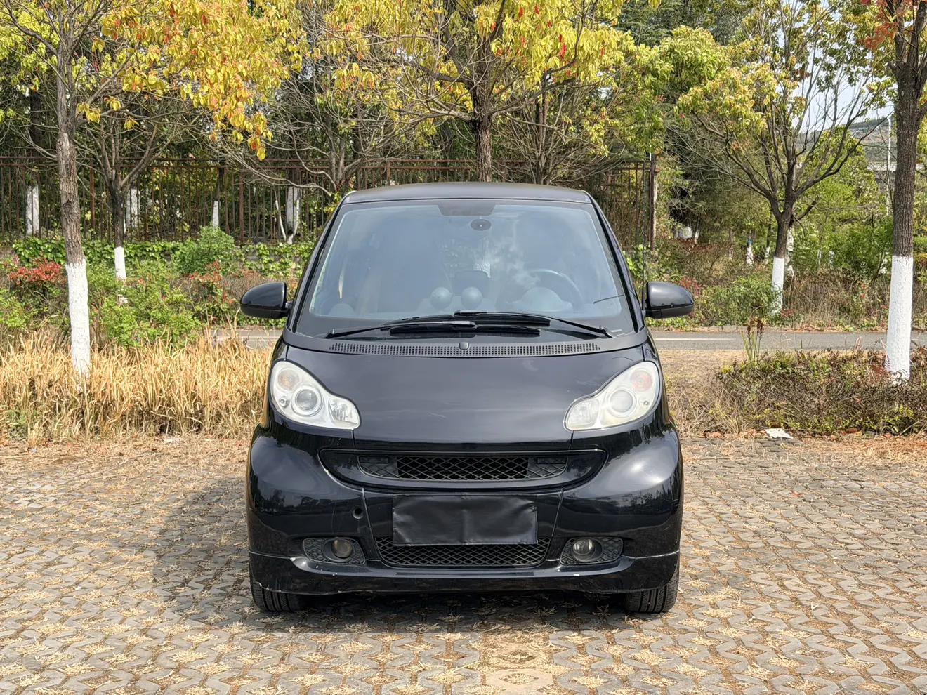 Smart fortwo  из Китая