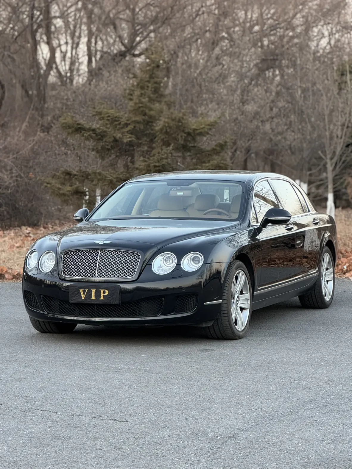 Bentley Galloping