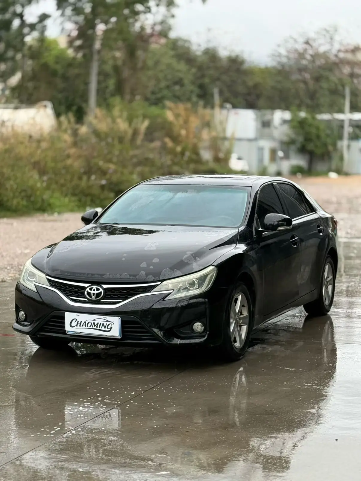 Toyota Ruizhi
