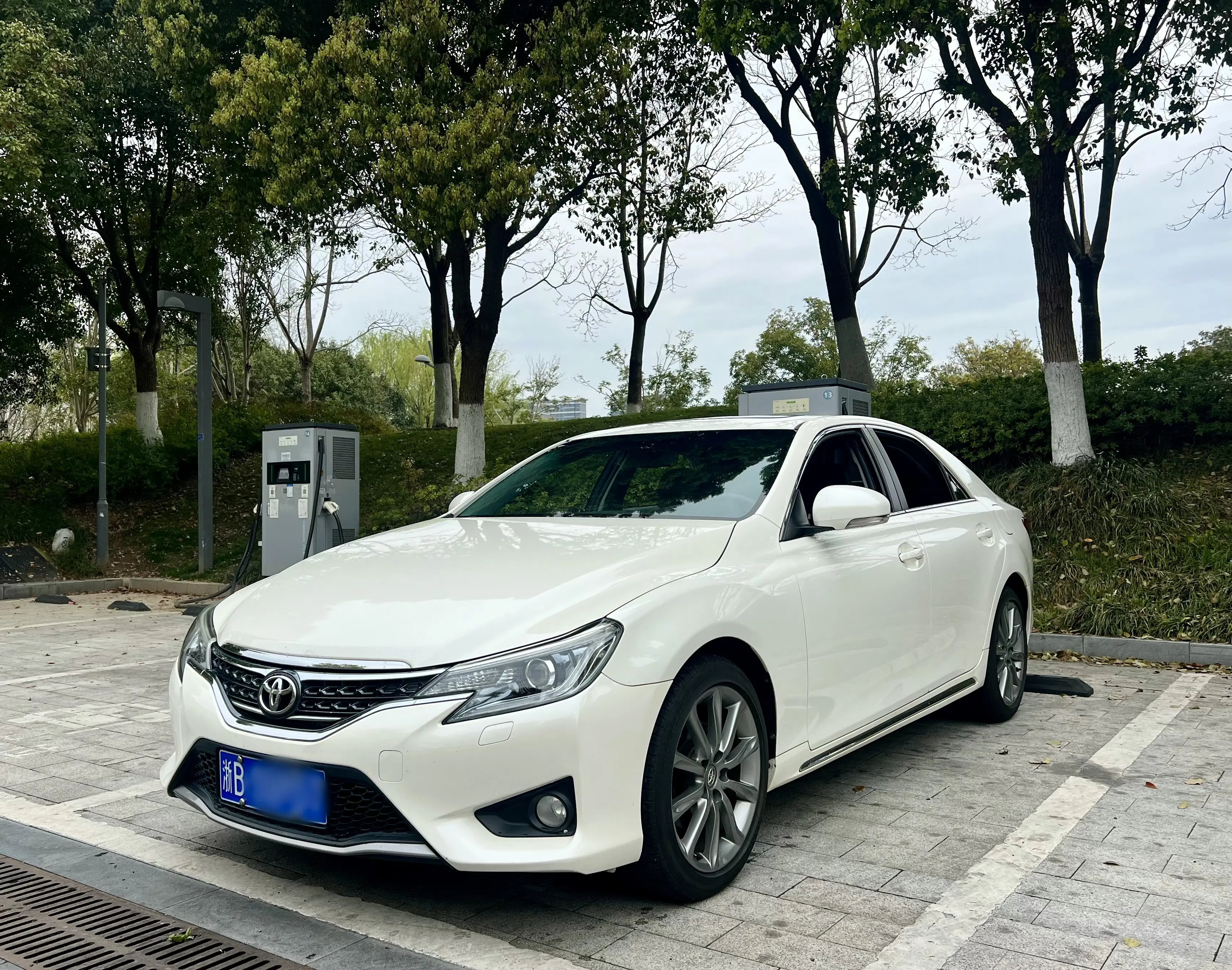 Toyota Ruizhi