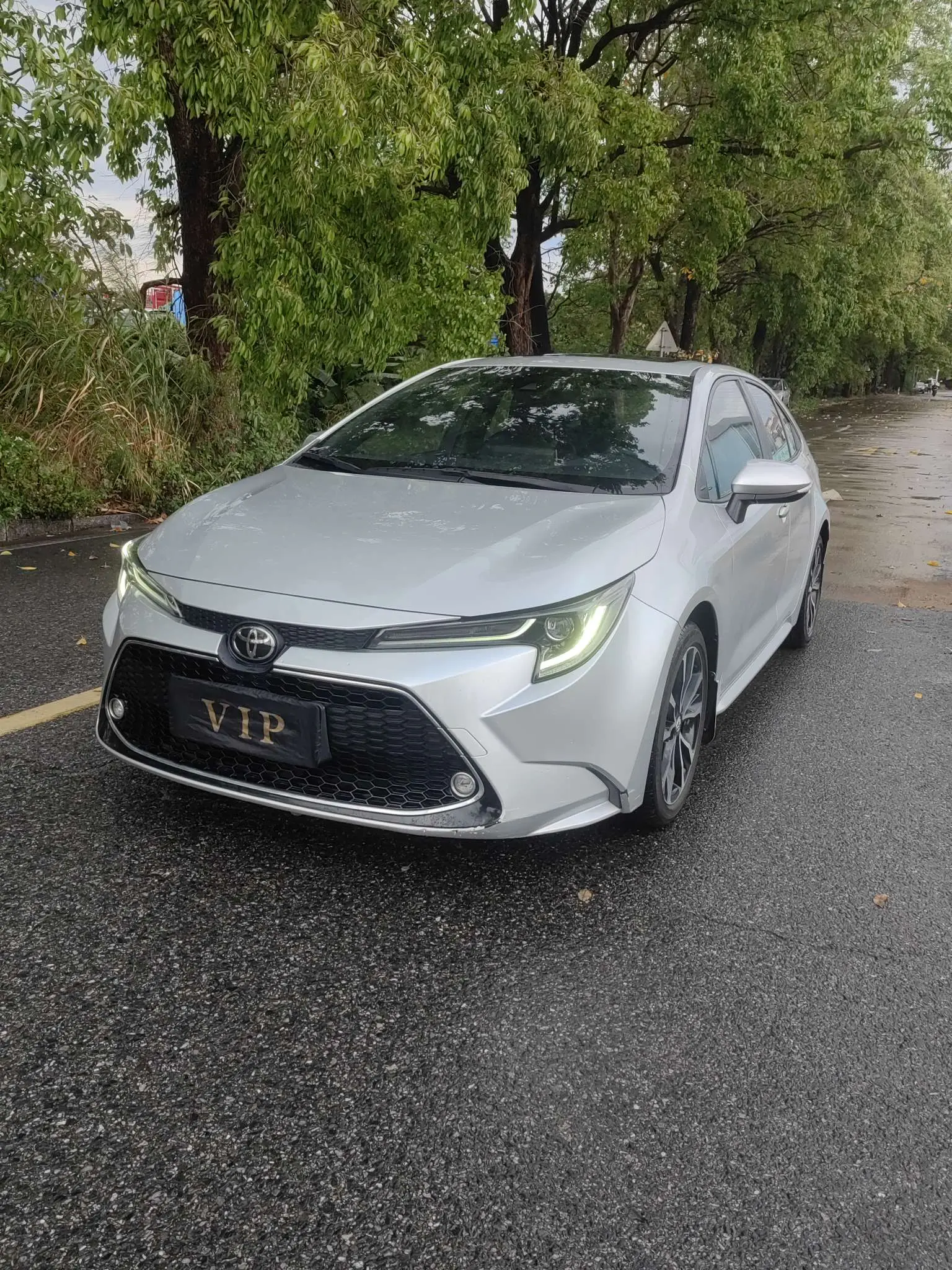 Toyota Levin