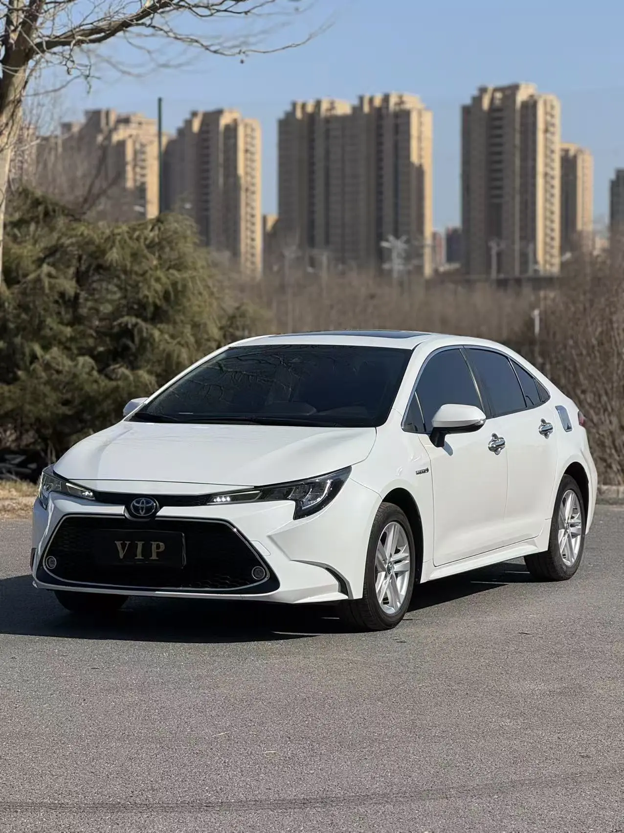 Toyota Levin