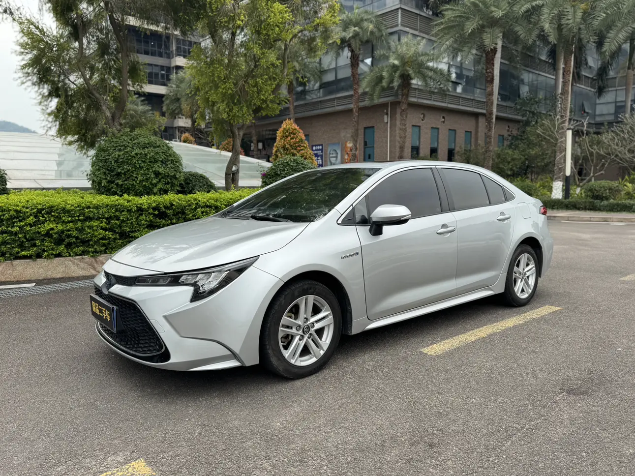 Toyota Levin