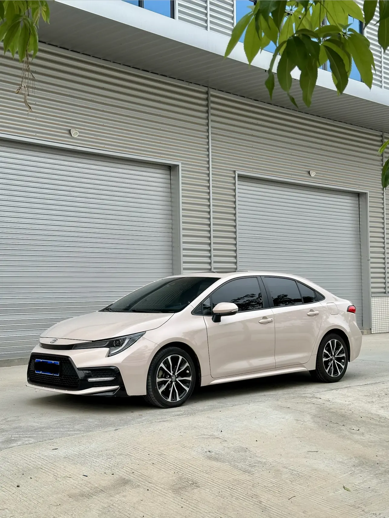 Toyota Levin