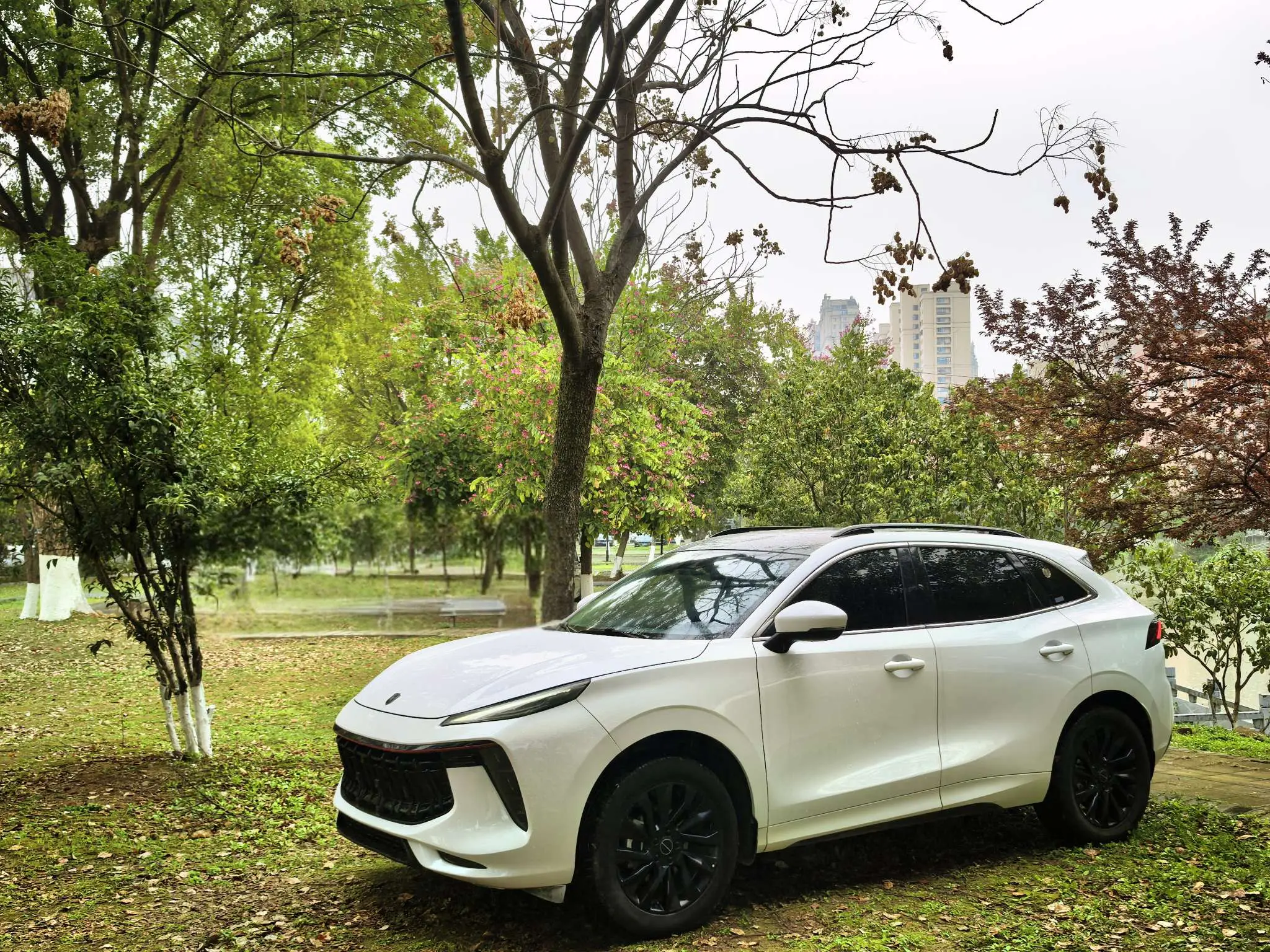 Forthing Fengxing T5 EVO  из Китая