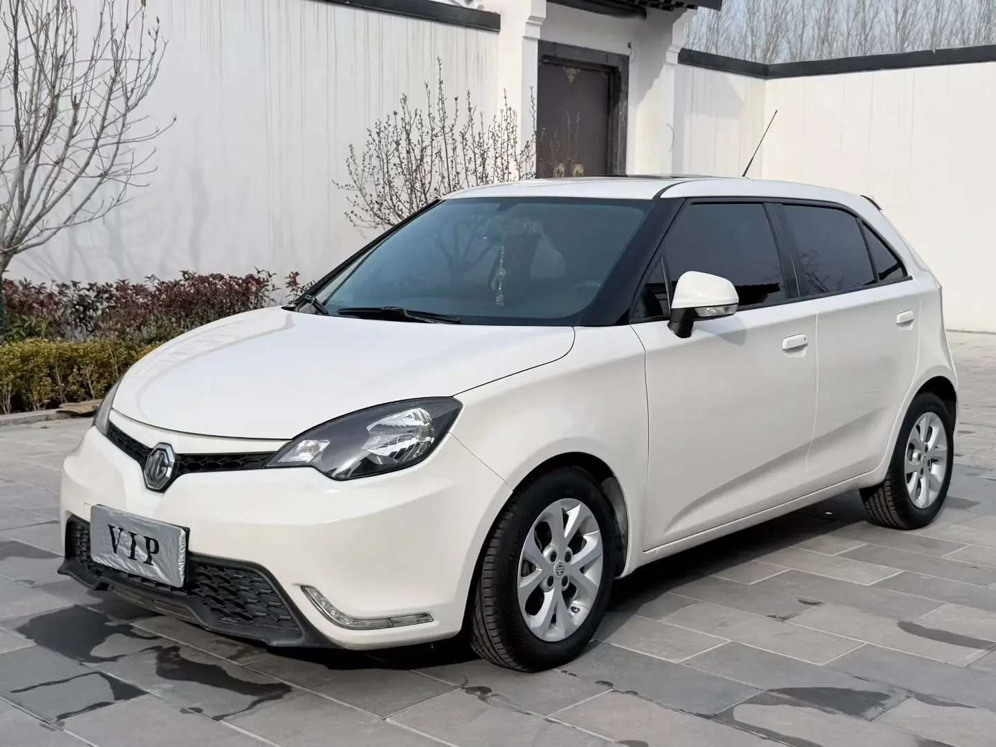 MG 3