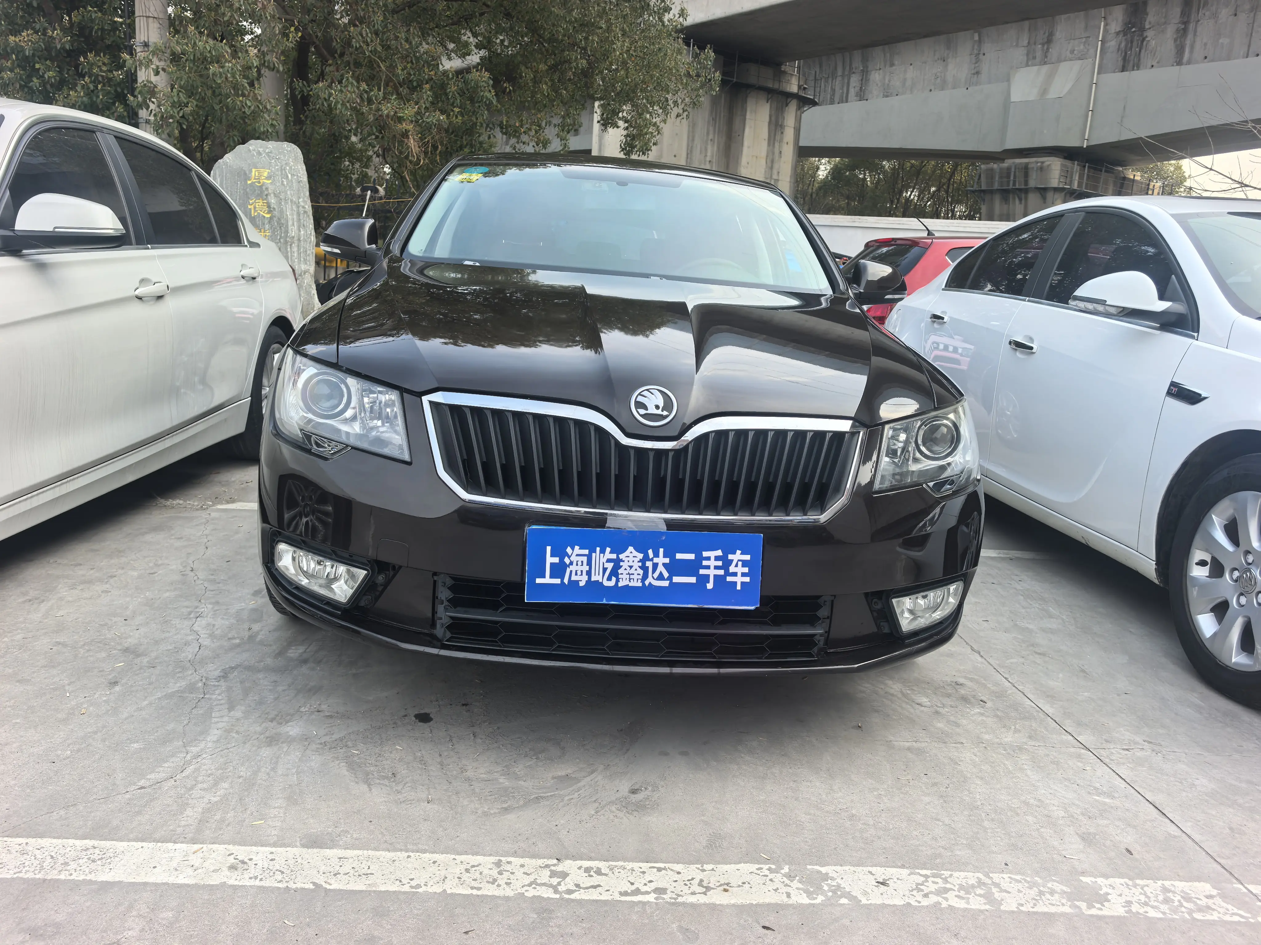 Skoda Speedy  из Китая