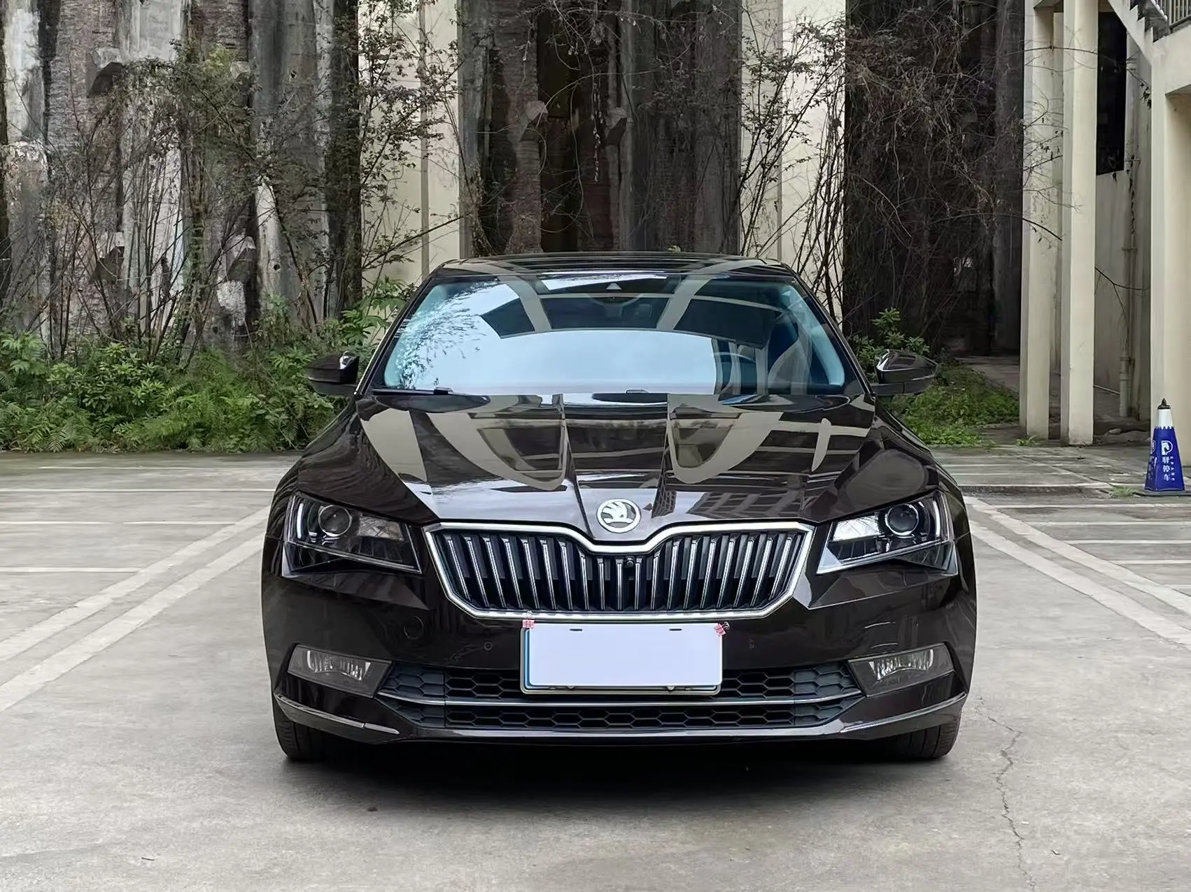 Skoda Speedy  из Китая