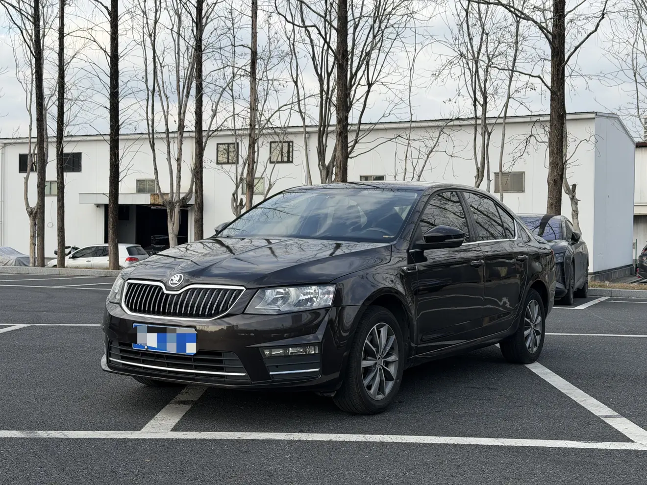 Skoda Octavia  из Китая
