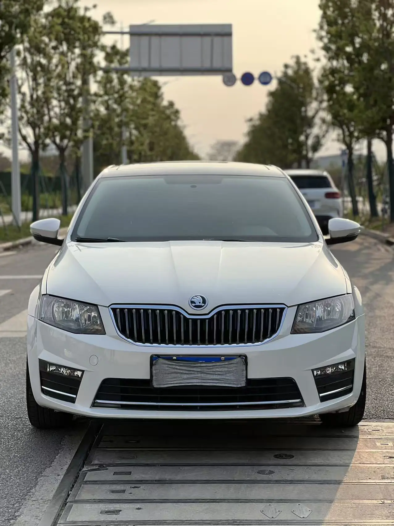 Skoda Octavia  из Китая