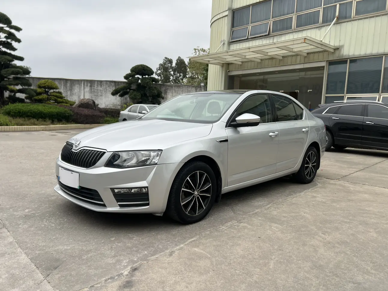 Skoda Octavia  из Китая