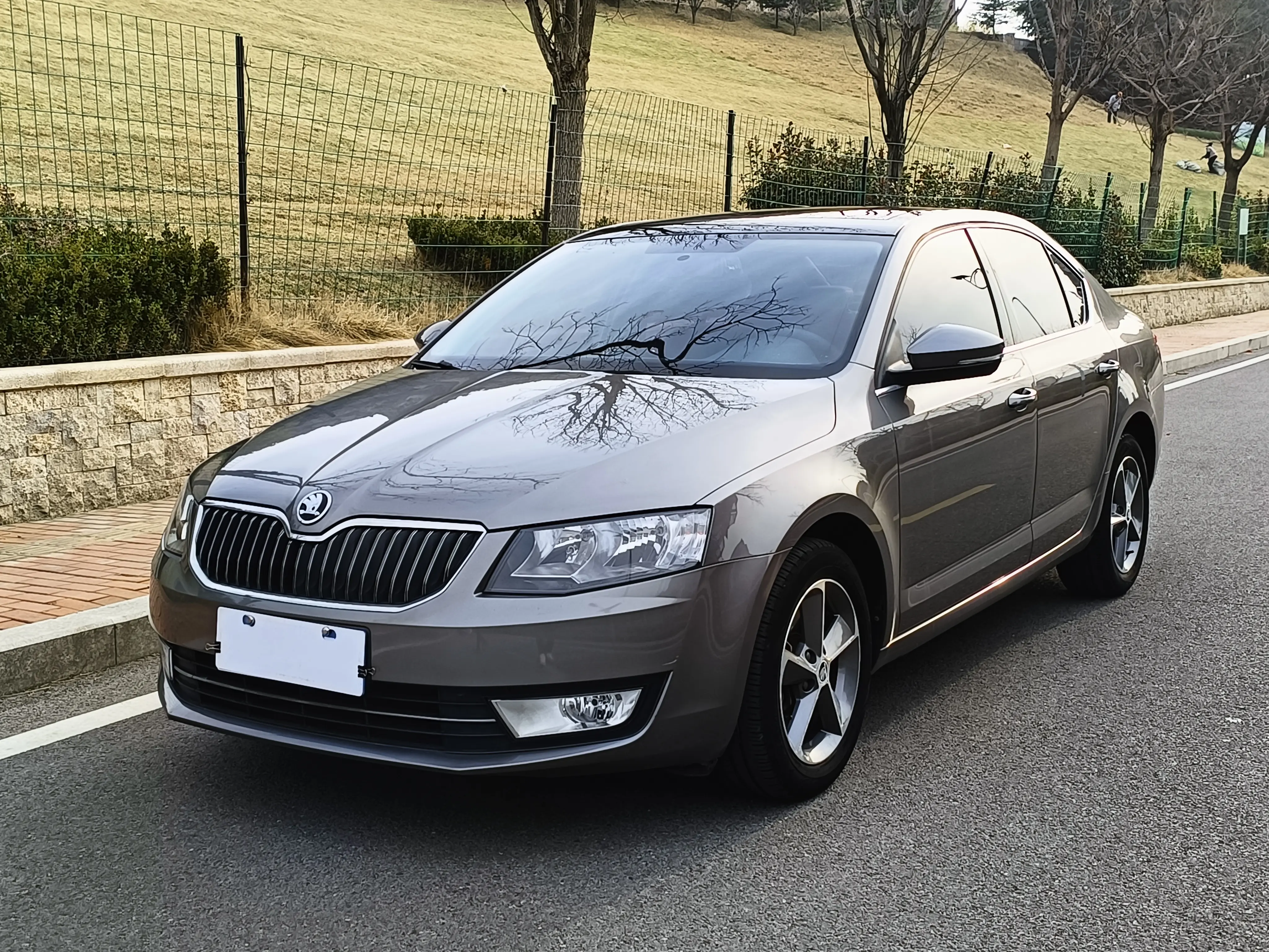 Skoda Octavia  из Китая