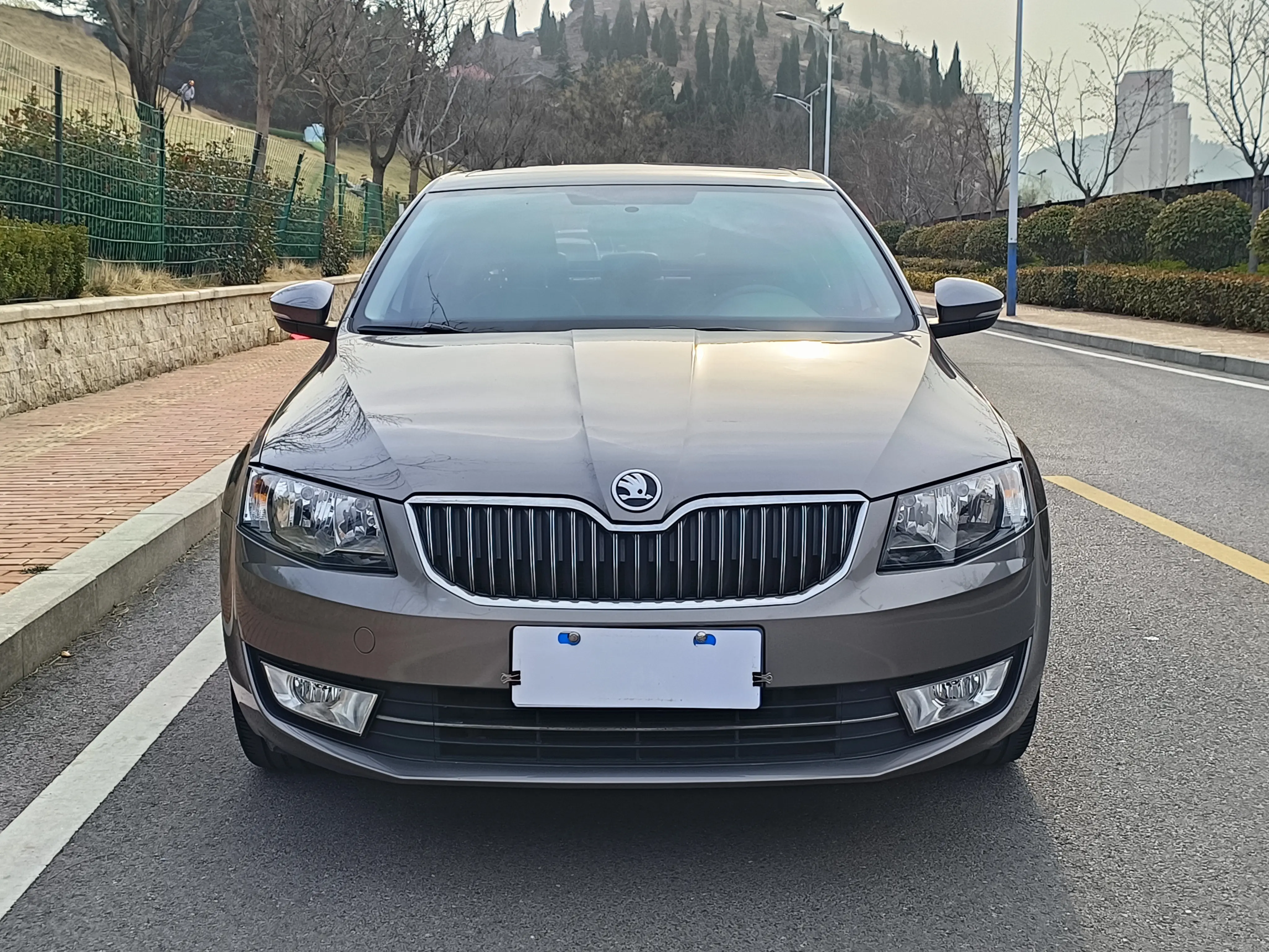 Skoda Octavia  из Китая