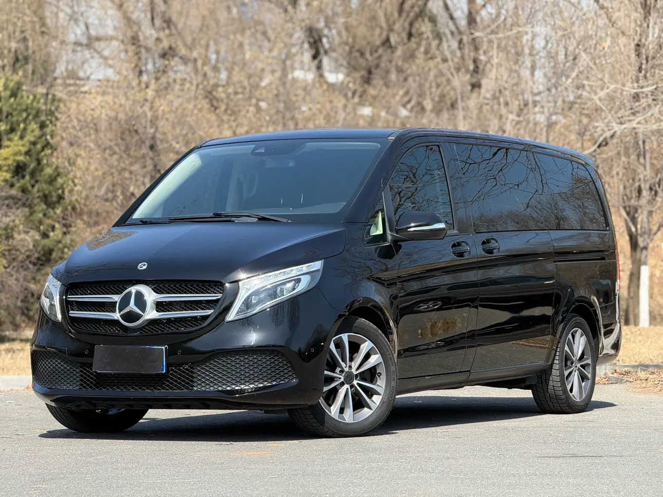 Mercedes-Benz Mercedes Benz V Class  из Китая