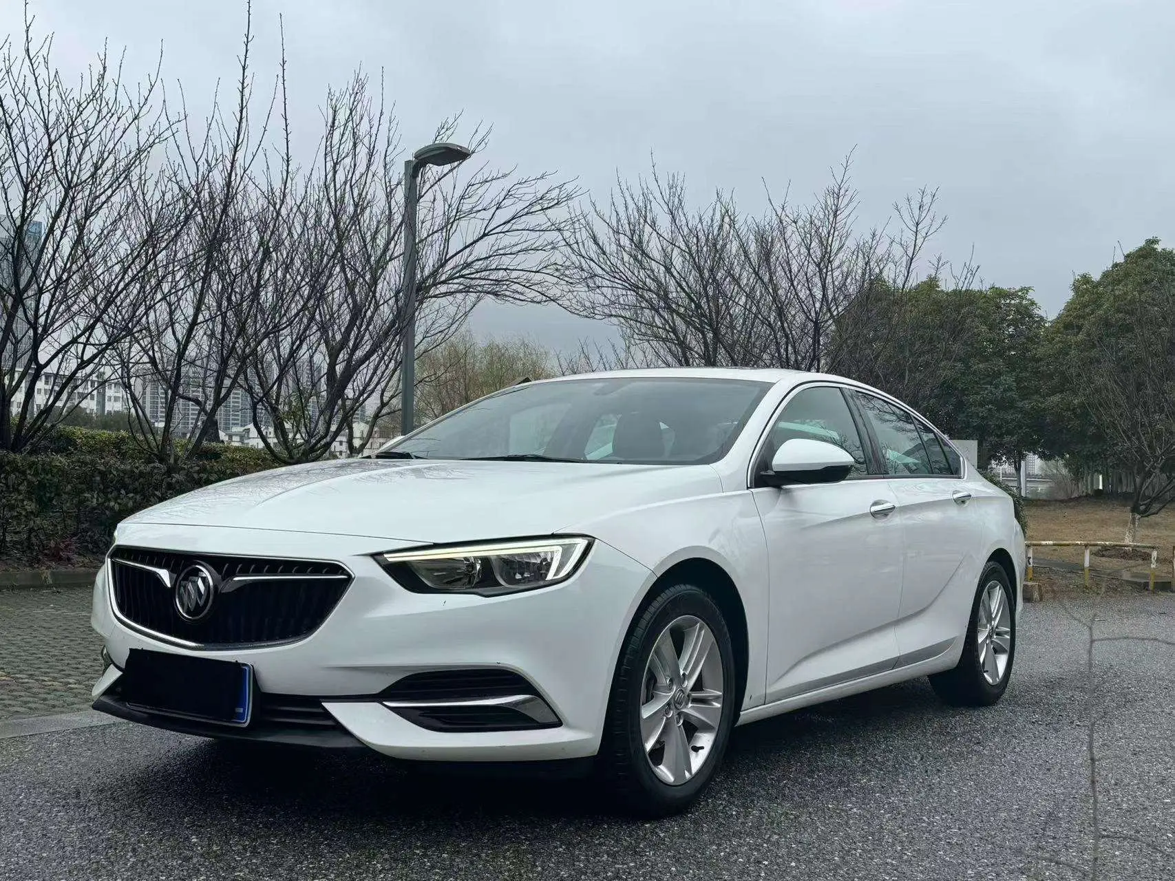 Buick Majesty