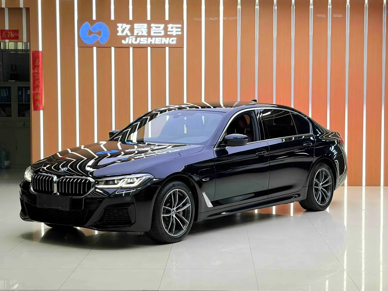 BMW 5 Series PHEV