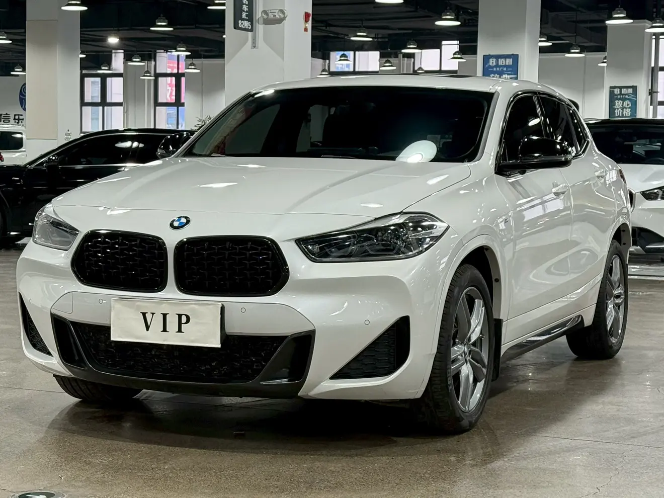 BMW X2