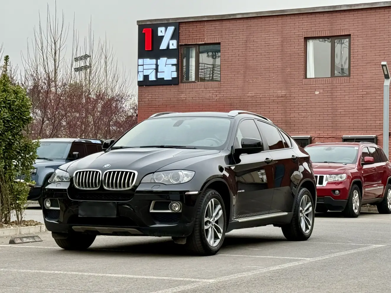 BMW X6