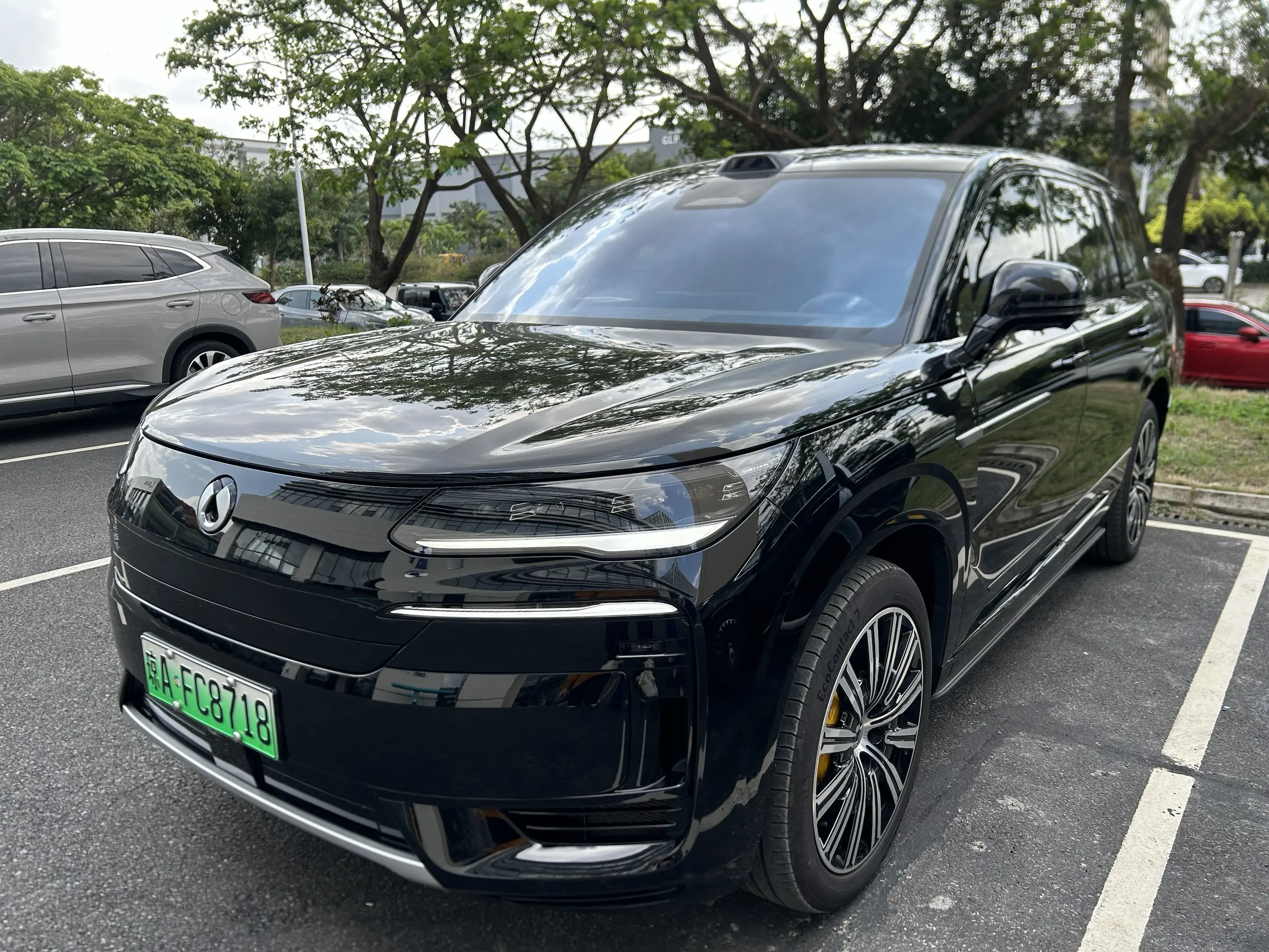 Denza Tengzhong N9 DM