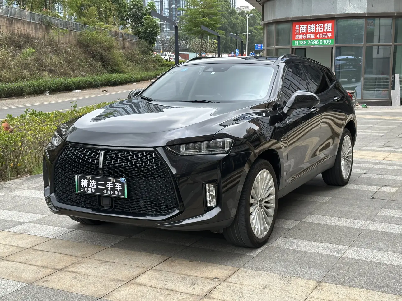 Wey Wei brand P8