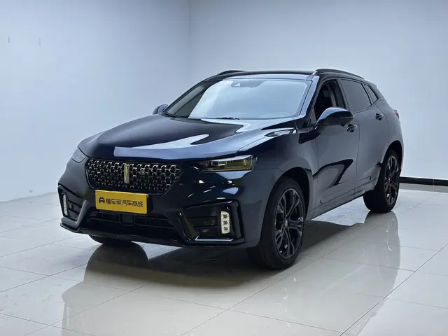Wey Wei brand VV7